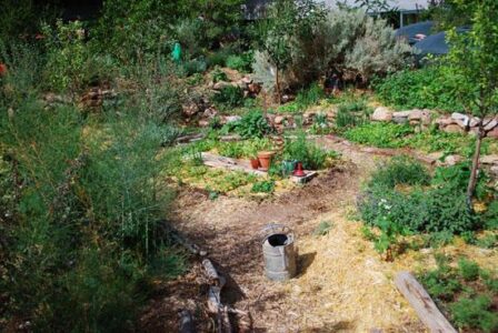 Create a Garden That Works for You Image